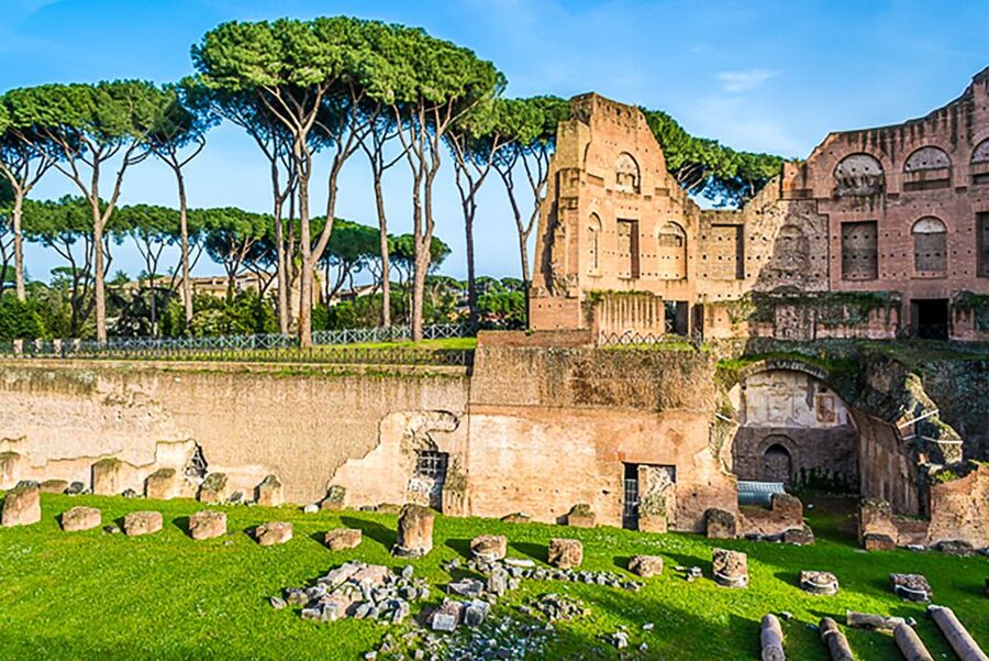 Rome: Guided Tour of Colosseum, Roman Forum & Palatine Hill - Who should book this tour?