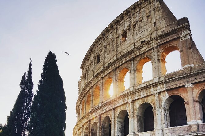 Rome: Guided Tour of the Colosseum - Key points to know before booking