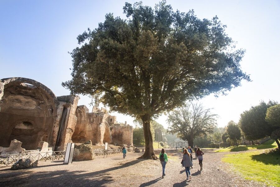 Rome: Hadrian's Villa and Villa d'Este Half-Day Tour - Key points to know before you book