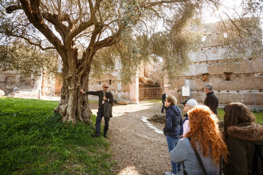 Rome: Hadrian's Villa and Villa d'Este Half-Day Tour - Why Tivoli makes a smart escape from Rome