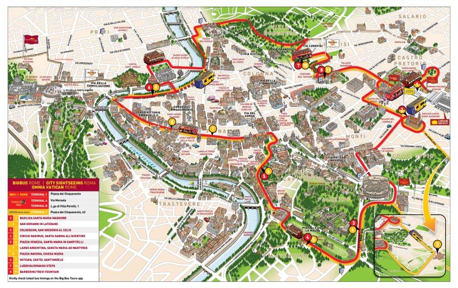 Rome: Hop-On Hop-Off Bus and Optional Cruise Port Transfer - Vatican area and Piazza Navona