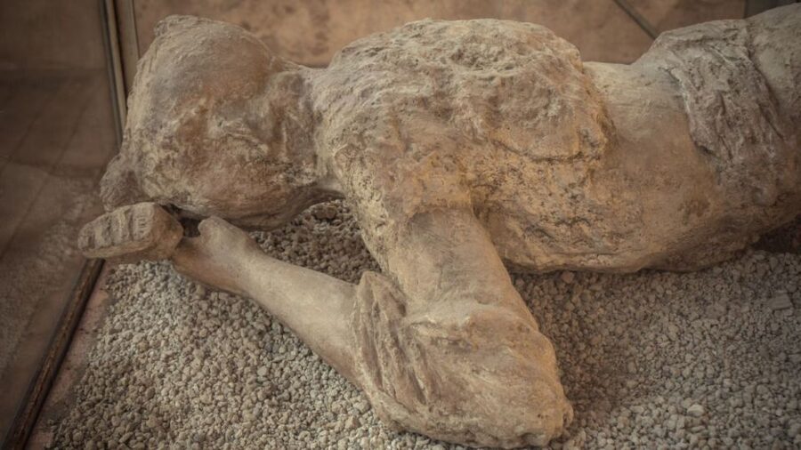 Rome: Pompeii Tour with Wine and Lunch by High Speed Train - What makes this Pompeii day trip worth considering