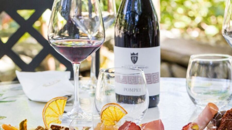 Rome: Pompeii Tour with Wine and Lunch by High Speed Train - What the Pompeii walk requires