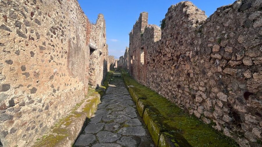 Rome: Pompeii Tour with Wine and Lunch by High Speed Train - Returning to Rome by private coach and train