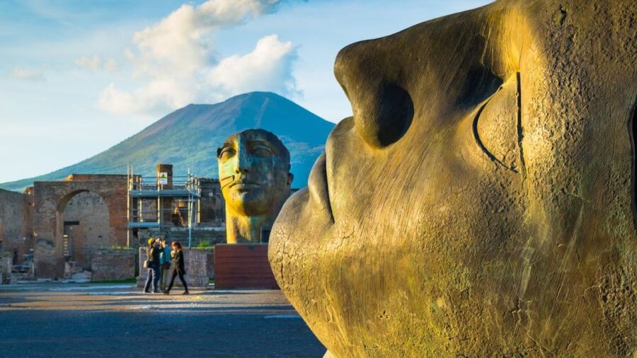 Rome: Pompeii Tour with Wine and Lunch by High Speed Train - Who should book this day trip