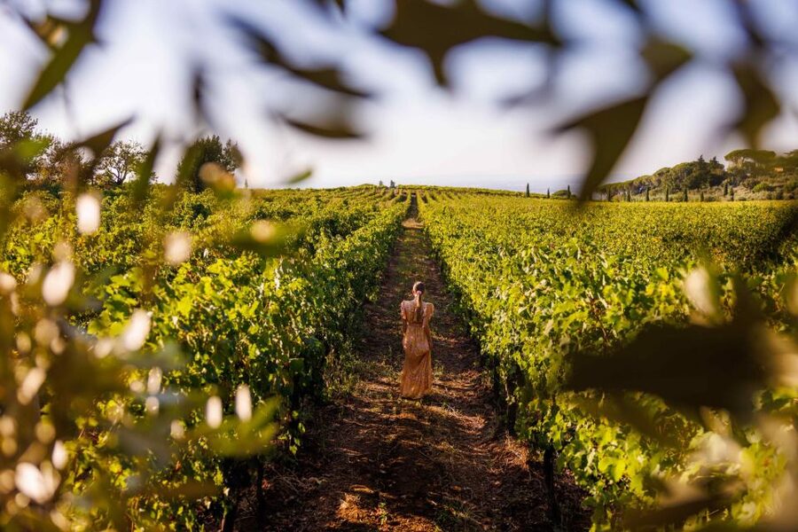 Rome: Private Countryside Wine Tasting Tour - Useful planning details before you book