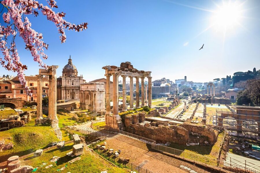 Rome: Roman Forum and Palatine Hill Licensed Guided Tour - The guides are the heart of the experience
