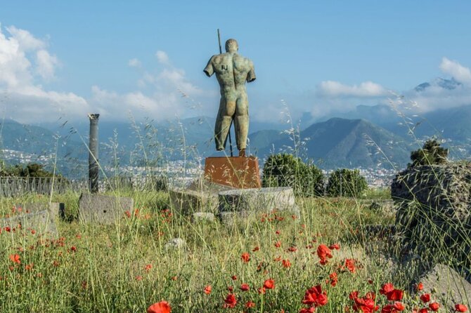 Rome to Pompeii Guided Tour with Wine & Lunch by High Speed Train - My practical verdict