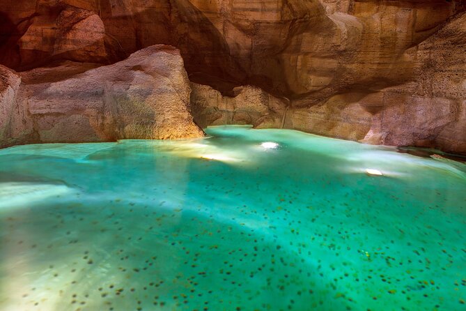 Rome: Trevi Fountain District and Underground Domus Guided Tour - Who will enjoy this underground Rome tour?