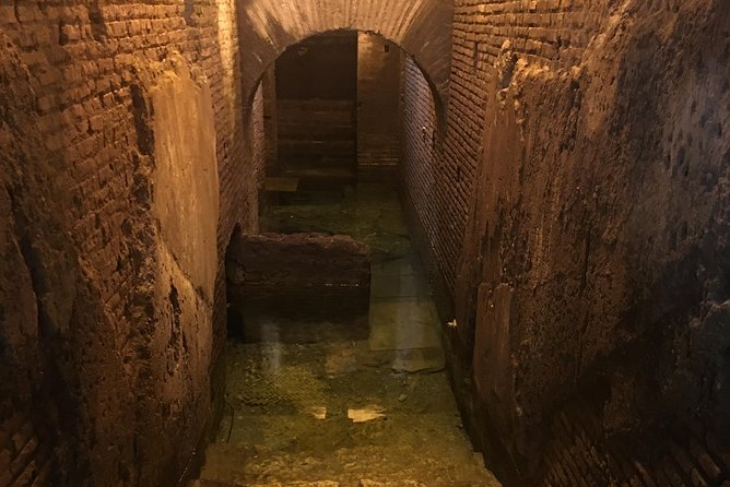 Rome: Trevi Fountain District and Underground Domus Guided Tour - Should you book the Vicus Caprarius tour?
