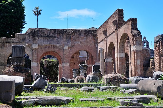 Small Group Colosseum, Roman Forum & Palatine Hill Tour - The guide makes or breaks the visit