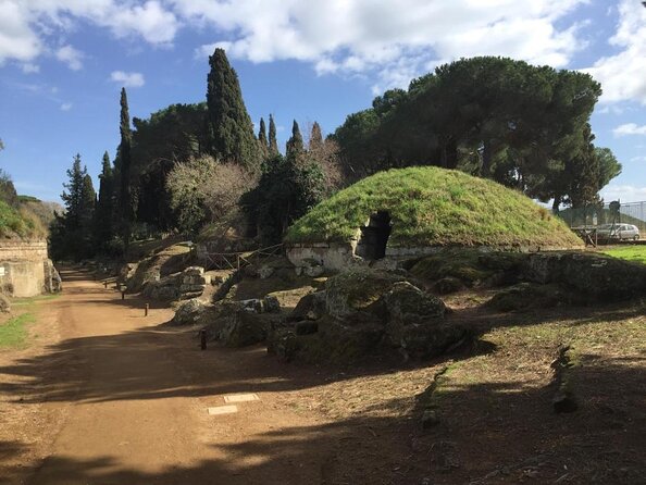 Tarquinia: Etruscan Necropolis and Museum - Private Tour - Key points to know before booking
