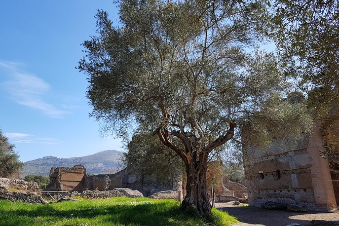 Tivoli Villas Full Day Trip From Rome with Lunch - Who will get the most from this day trip
