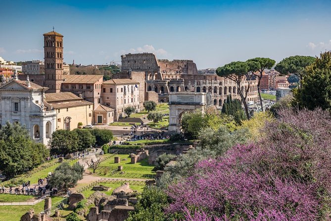 Ultimate Colosseum, Roman Forum & Palatine Hill Small Group Tour - How the guide affects the experience