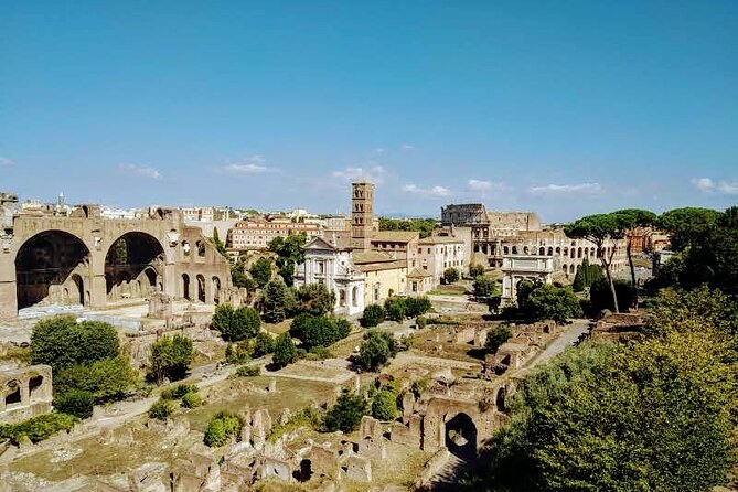 Ultimate Colosseum Small Group Tour - Who Will Enjoy This Rome Tour Most?
