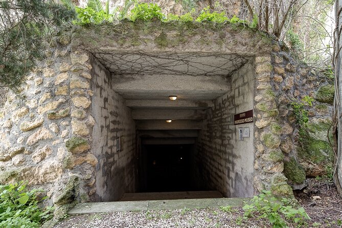 Visit the Etruscan underground Heritage Site of Tarquinia - Starting at Largo della Pace in Civitavecchia